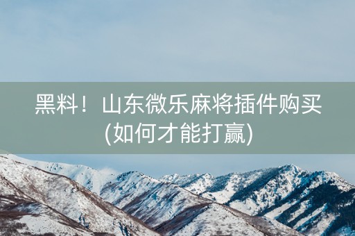 黑料！山东微乐麻将插件购买(如何才能打赢)