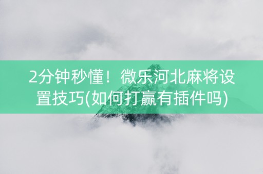 2分钟秒懂！微乐河北麻将设置技巧(如何打赢有插件吗)