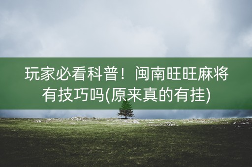 玩家必看科普！闽南旺旺麻将有技巧吗(原来真的有挂)