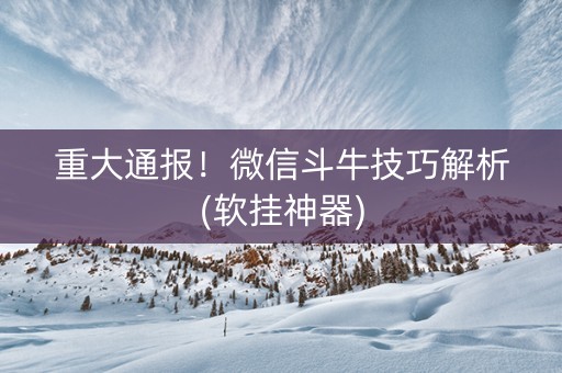 重大通报！微信斗牛技巧解析(软挂神器)