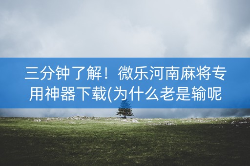 三分钟了解！微乐河南麻将专用神器下载(为什么老是输呢)