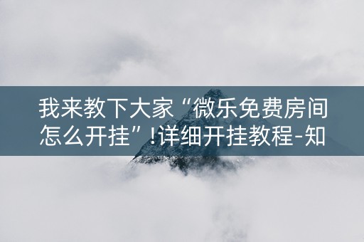 我来教下大家“微乐免费房间怎么开挂”!详细开挂教程-知乎