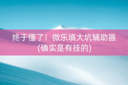 终于懂了！微乐填大坑辅助器(确实是有挂的)