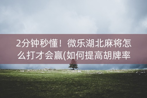 2分钟秒懂！微乐湖北麻将怎么打才会赢(如何提高胡牌率)
