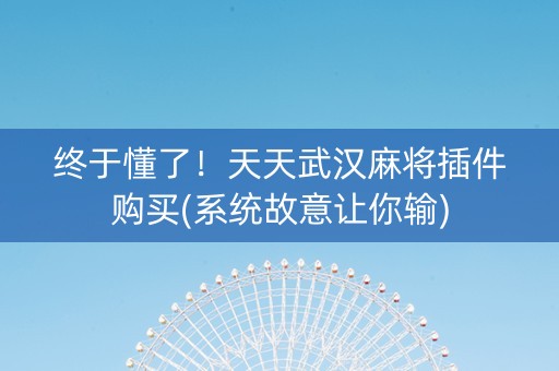 终于懂了！天天武汉麻将插件购买(系统故意让你输)
