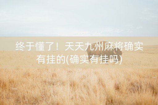终于懂了！天天九州麻将确实有挂的(确实有挂吗)