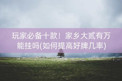 玩家必备十款！家乡大贰有万能挂吗(如何提高好牌几率)