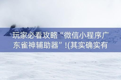 玩家必看攻略“微信小程序广东雀神辅助器”!(其实确实有挂)-知乎