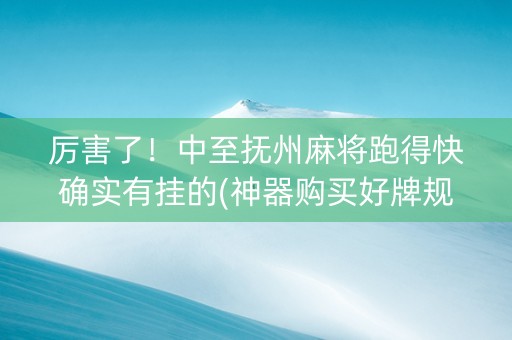 厉害了！中至抚州麻将跑得快确实有挂的(神器购买好牌规律)