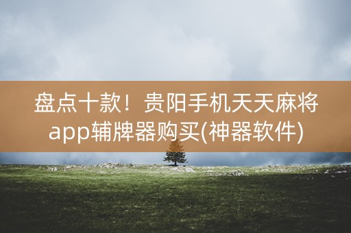 盘点十款！贵阳手机天天麻将app辅牌器购买(神器软件)