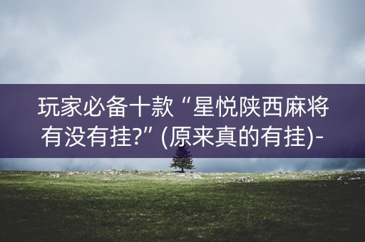玩家必备十款“星悦陕西麻将有没有挂?”(原来真的有挂)-知乎