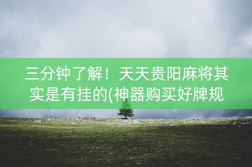 三分钟了解！天天贵阳麻将其实是有挂的(神器购买好牌规律)
