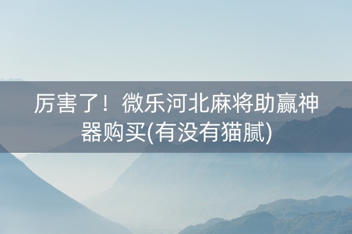 厉害了！微乐河北麻将助赢神器购买(有没有猫腻)
