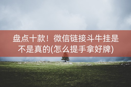 盘点十款！微信链接斗牛挂是不是真的(怎么提手拿好牌)