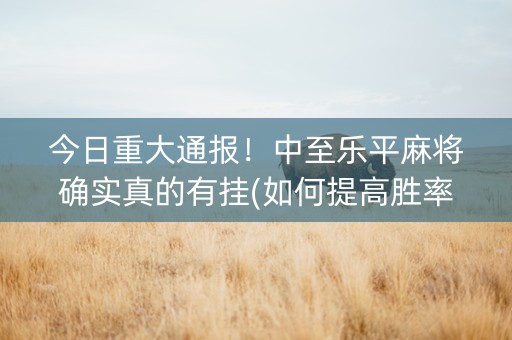 今日重大通报！中至乐平麻将确实真的有挂(如何提高胜率)
