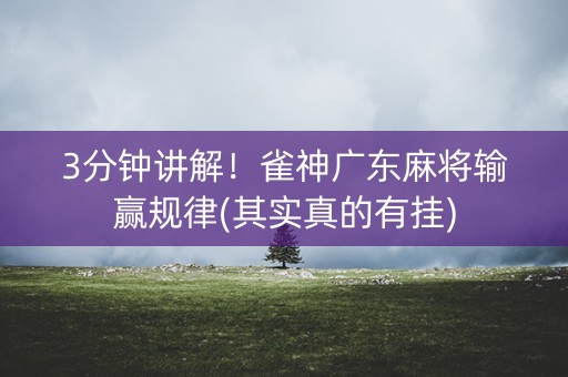 3分钟讲解！雀神广东麻将输赢规律(其实真的有挂)