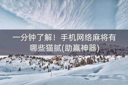 一分钟了解！手机网络麻将有哪些猫腻(助赢神器)
