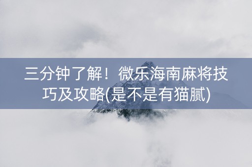 三分钟了解！微乐海南麻将技巧及攻略(是不是有猫腻)