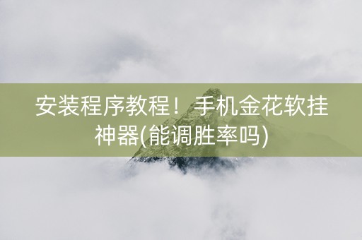 安装程序教程！手机金花软挂神器(能调胜率吗)