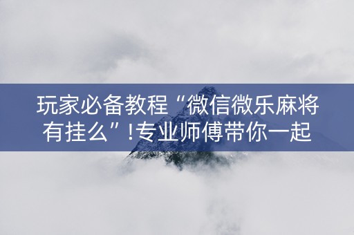 玩家必备教程“微信微乐麻将有挂么”!专业师傅带你一起了解（详细教程）-知乎