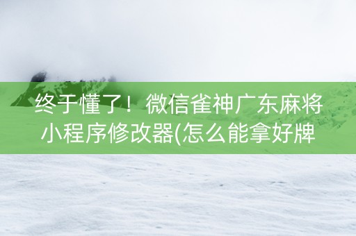 终于懂了！微信雀神广东麻将小程序修改器(怎么能拿好牌)