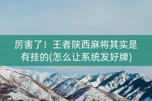 厉害了！王者陕西麻将其实是有挂的(怎么让系统发好牌)