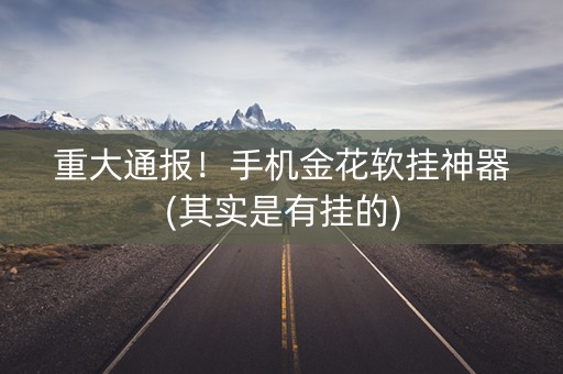 重大通报！手机金花软挂神器(其实是有挂的)