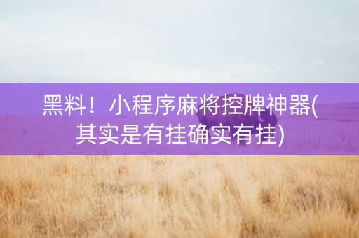 黑料！小程序麻将控牌神器(其实是有挂确实有挂)