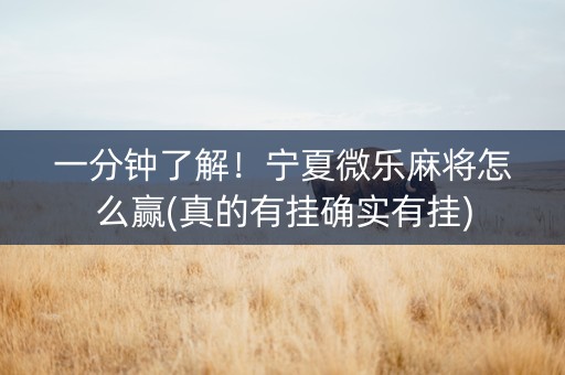 一分钟了解！宁夏微乐麻将怎么赢(真的有挂确实有挂)