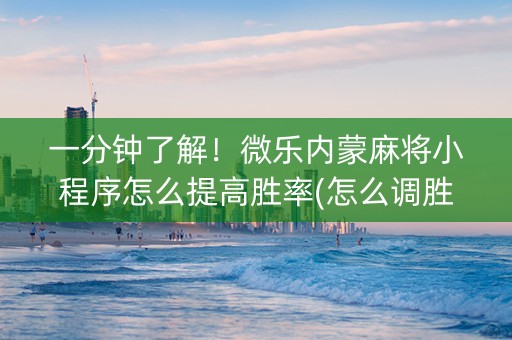 一分钟了解！微乐内蒙麻将小程序怎么提高胜率(怎么调胜率)