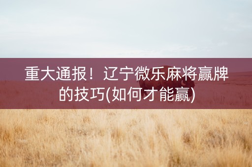 重大通报！辽宁微乐麻将赢牌的技巧(如何才能赢)