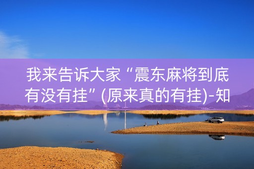 我来告诉大家“震东麻将到底有没有挂”(原来真的有挂)-知乎