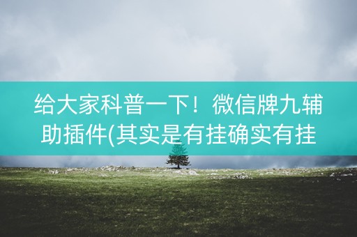 给大家科普一下！微信牌九辅助插件(其实是有挂确实有挂)