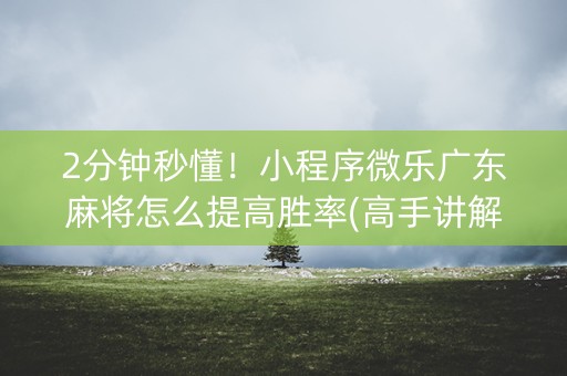 2分钟秒懂！小程序微乐广东麻将怎么提高胜率(高手讲解技术)