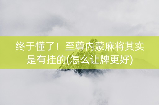 终于懂了！至尊内蒙麻将其实是有挂的(怎么让牌更好)