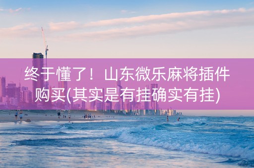终于懂了！山东微乐麻将插件购买(其实是有挂确实有挂)