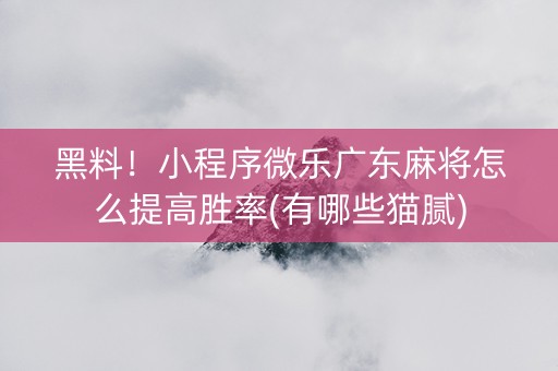 黑料！小程序微乐广东麻将怎么提高胜率(有哪些猫腻)