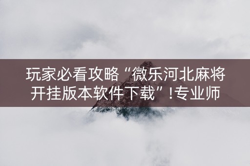 玩家必看攻略“微乐河北麻将开挂版本软件下载”!专业师傅带你一起了解（详细教程）-知乎