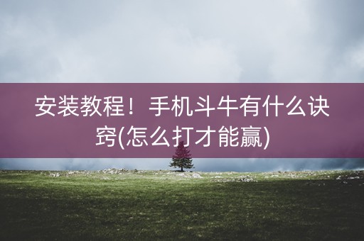 安装教程！手机斗牛有什么诀窍(怎么打才能赢)