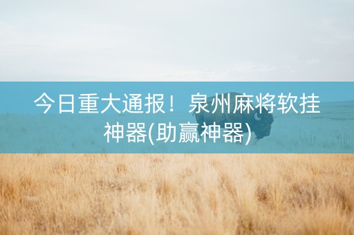 今日重大通报！泉州麻将软挂神器(助赢神器)