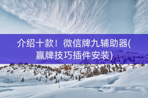 介绍十款！微信牌九辅助器(赢牌技巧插件安装)