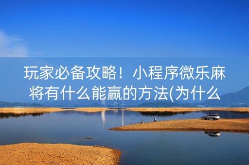玩家必备攻略！小程序微乐麻将有什么能赢的方法(为什么老是输呢)