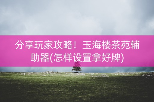 分享玩家攻略！玉海楼茶苑辅助器(怎样设置拿好牌)