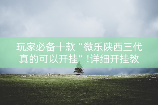 玩家必备十款“微乐陕西三代真的可以开挂”!详细开挂教程-知乎