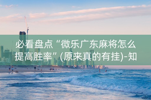 必看盘点“微乐广东麻将怎么提高胜率”(原来真的有挂)-知乎