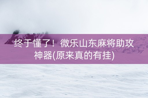 终于懂了！微乐山东麻将助攻神器(原来真的有挂)