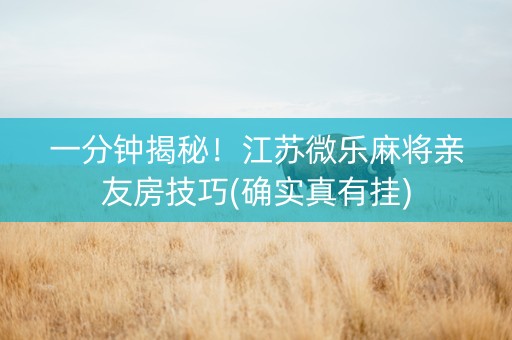 一分钟揭秘！江苏微乐麻将亲友房技巧(确实真有挂)