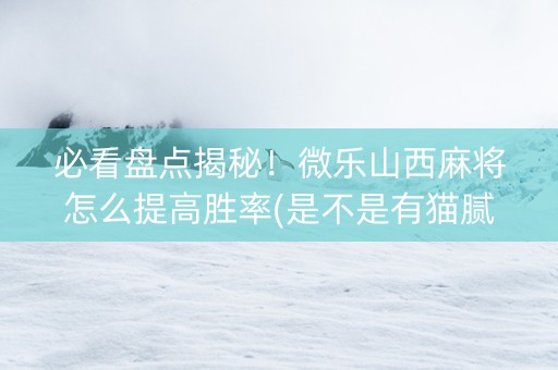 必看盘点揭秘！微乐山西麻将怎么提高胜率(是不是有猫腻)