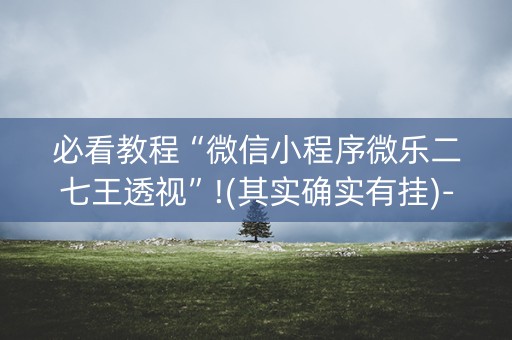 必看教程“微信小程序微乐二七王透视”!(其实确实有挂)-知乎