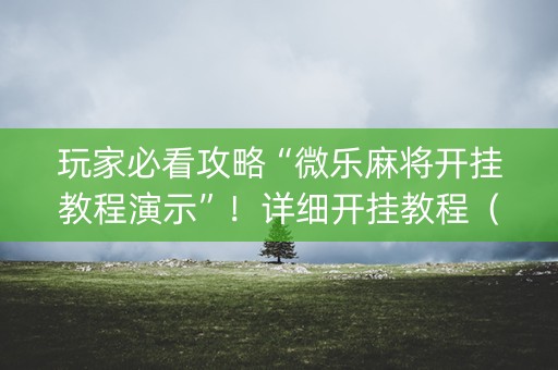 玩家必看攻略“微乐麻将开挂教程演示”！详细开挂教程（确实真的有挂)-知乎